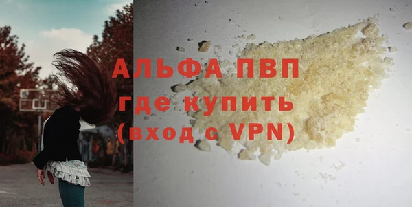 сатива Армянск
