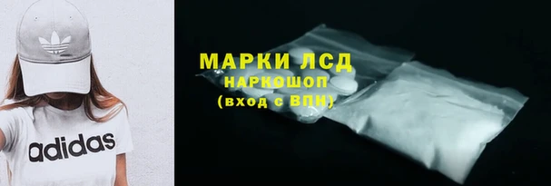 сатива Армянск