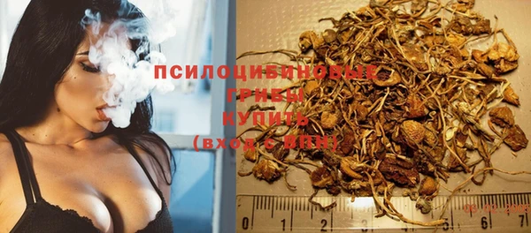 СК Арсеньев