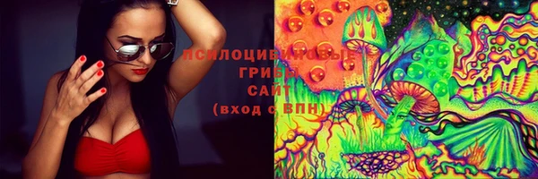 сатива Армянск
