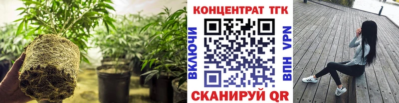 Дистиллят ТГК вейп с тгк  Мурманск 